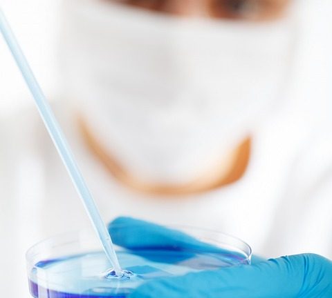 Science and Discovery Headlines