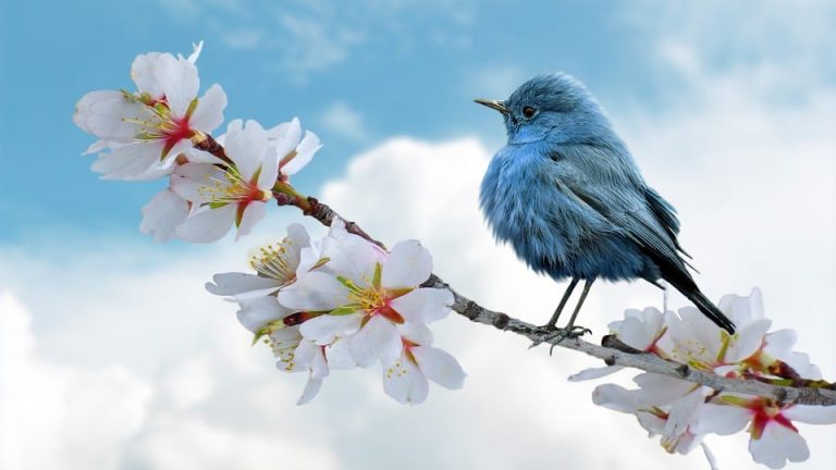 India Clinches Top Honors at IEO 2023, World’s Top 5 Schools Revealed