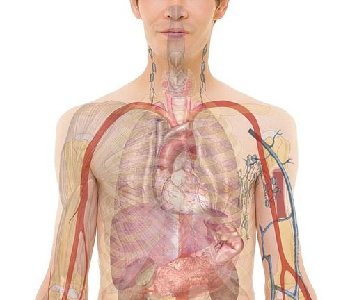 Success Stories Headlines