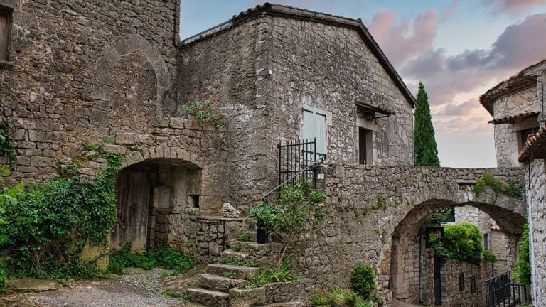 Illuminating the Best: Top Performers from the International English Olympiad Share Insights