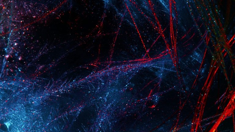 Team USA Dominates in First Day of Competition, Stalking a Record 10 Medals