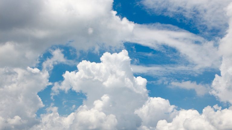 Eduheal Foundation: A Model for Sustainable Healthcare Education and Community Development