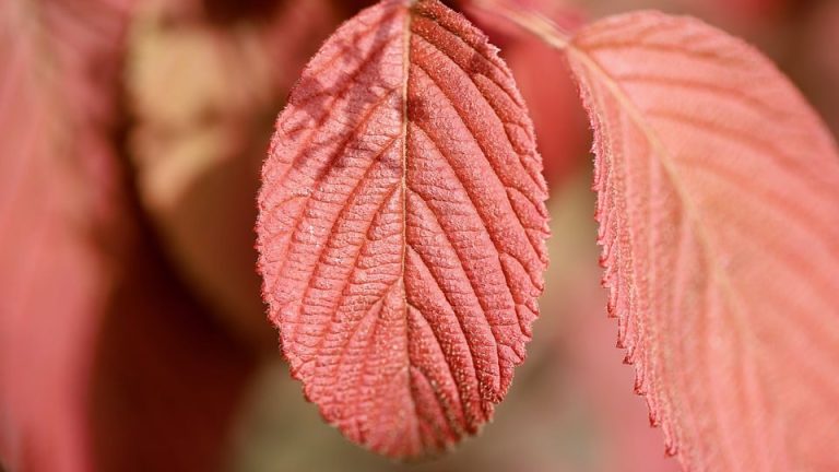 Olympic Flame Arrives in Host City, Kicks Off Frenzied Competition Ahead