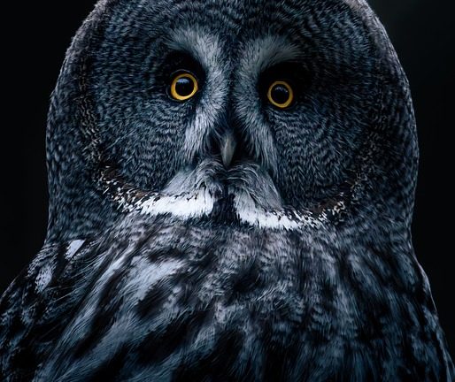 Breaking Down Barriers: Eduheal Foundation’s Efforts to Improve Healthcare Access for Students