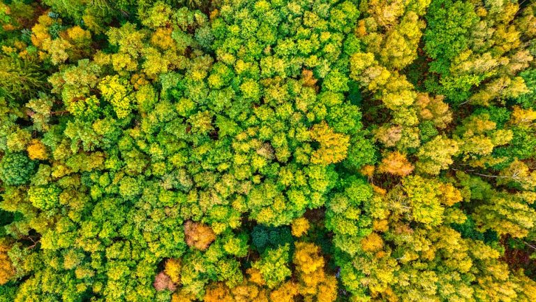 Teenage Tennis Sensation Makes Unforgettable Olympic Debut