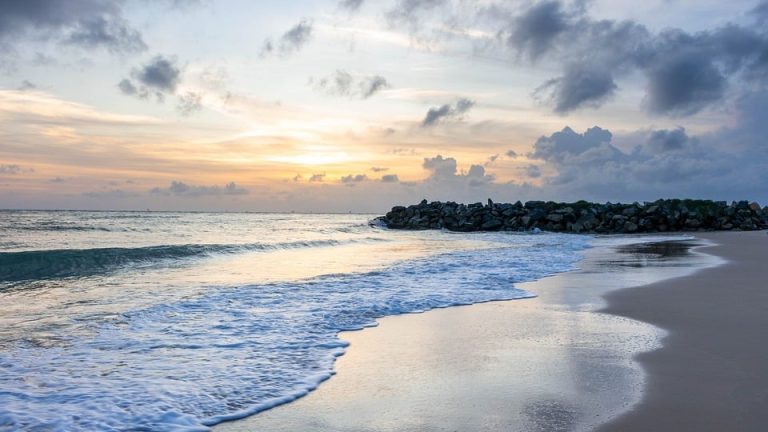 Handball’s Golden Generation Debuts at EHF Olympiad