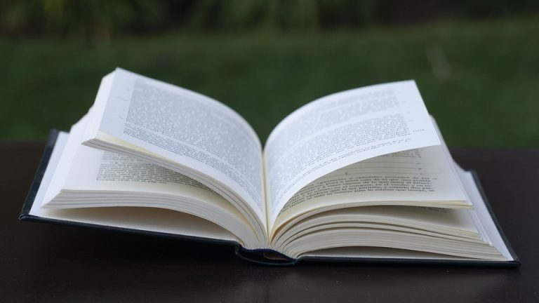 Empowering Education: The Eduheal Foundation’s Mission to Transform Lives