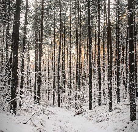 Healthy Minds, Healthy Bodies: Eduheal Foundation’s Holistic Approach to Student Well-being