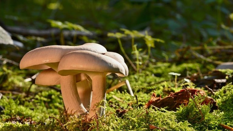 Feel free to modify or combine these suggestions to fit your article’s tone and style!