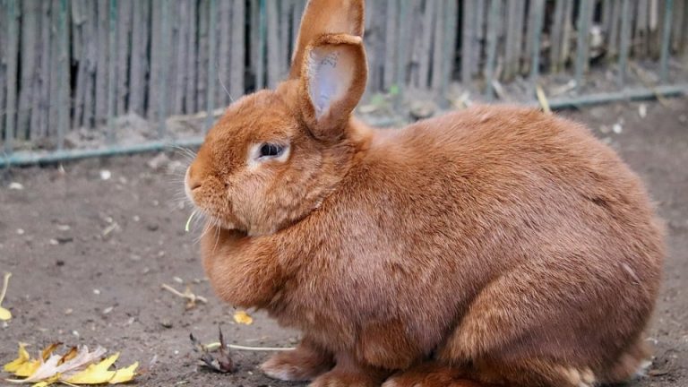 From Sick to Strong: Eduheal Foundation’s Success Stories in School Health