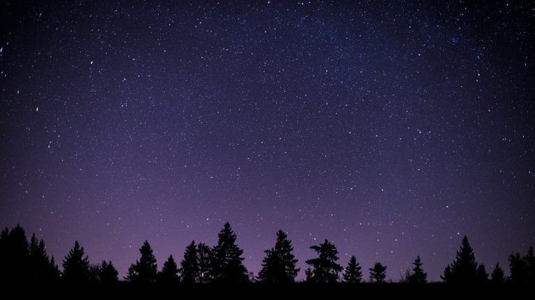 NSSO’s 50th Anniversary: A Look Back at Five Decades of Music