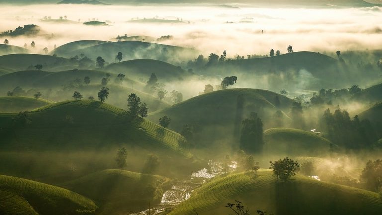 Empowering the Next Generation: The Power of International English Olympiad