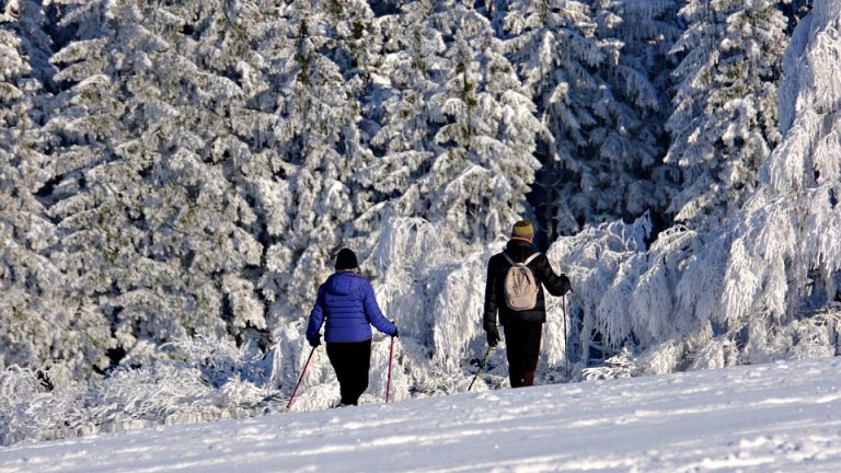 Rising Stars in English: Meet the Winners of the International English Olympiad