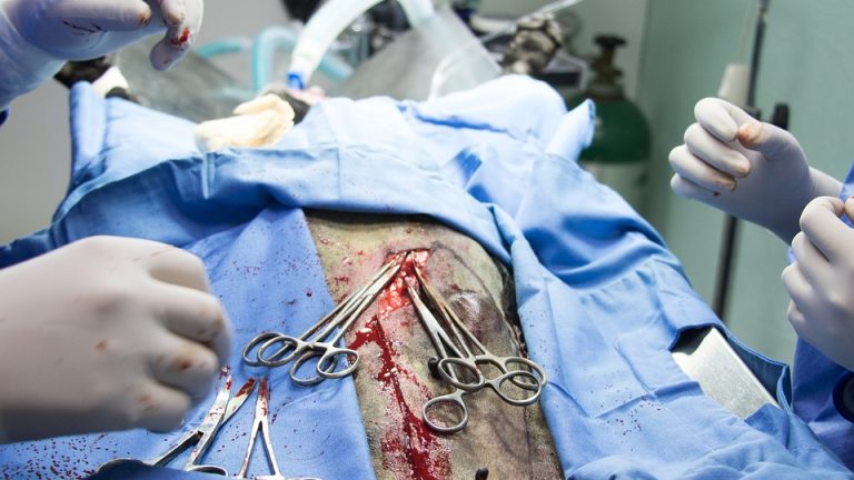 Unveiling the Earnings: How Much Do Doctors Really Make?