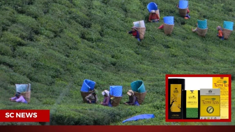 Temi Tea Goes Digital, Launches Official E-Commerce Platform – Sikkim Breaking News